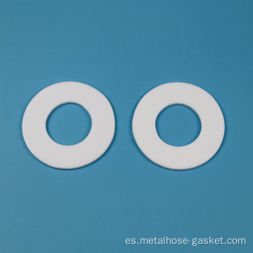 PTFE TEFLON SELLERING GASKET Series B